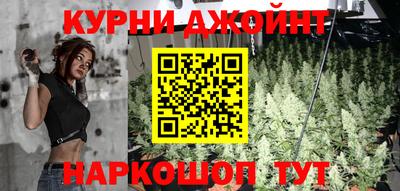 apvp Моздок