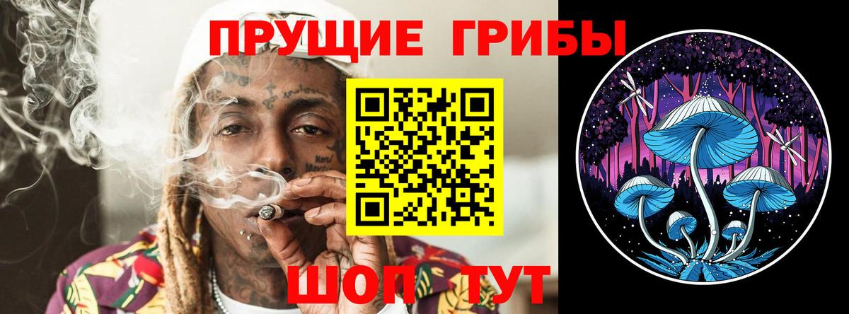 Галлюциногенные грибы Magic Shrooms  Псилоцибиновые грибы прущие грибы  Нарьян-Мар  Вход с VPN 